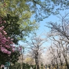 もなか.流　何もかも上手くいかない時の過ごし方。