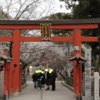 奈良の桜は氷室神社から