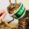 【金沢→岐阜郡上】ビジホに飽きたので、お宿に泊まってみる。