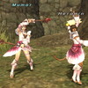 FF11、ミュモル２のフェイスもまにあった