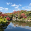 万博公園　紅葉見に〜🍁