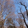 老いたからこそ／暮らし・98