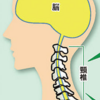 【整体】頸椎が歪んでいるらしい