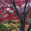 談山神社の紅葉