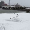 ■島根県立美術館：野外彫刻（岸公園）