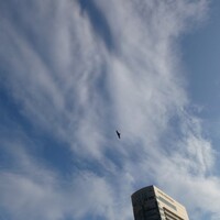 不思議な話は不思議じゃないかも☆彡2025-no.16　山下公園のお話　地下鉄開通は大変な人ゴミ（？）でした