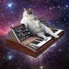猫とシンセサイザー、そして宇宙。“Cats On Synthesizers In Space”