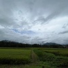 2022/08/17 水曜日　ニワトリヤ