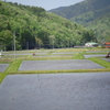 田植真っ最中