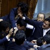 参議院第195回特別国会質問主意書総評