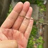 ちょっとのこと７