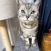 毎回ポテトを１本とってゆくそら君