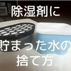 アカエイの肝 を煮つけたら蟹みそと同じ味がした 絶品お勧め料理です 人生はクレッシェンド