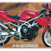 TRX850、必然の衝動買い / The TRX850 I Bought on Impulse