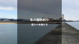 冬（12月・1月・2月）の釣り 堤防からの釣れる魚