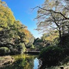 おでかけ日記（都立中央図書館）