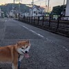 静岡も梅雨明けここからが勝負どころに秋葉清水