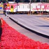彼岸花 と 北条鉄道