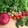 3月の旬の野菜  