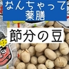 【大豆】節分の豆まきがナゼかキニなったので調べたお話【なんちゃって薬膳】