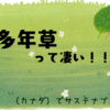 多年草って凄い！！！