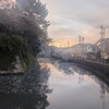 ゆめいっぱいな日曜日😊🐶清水は勝利