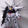 1/100 プロヴィデンスガンダム　レビュー