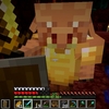 【Minecraft日記】あたろう、またわれの放浪記その22