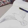 鳥を描く。