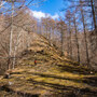 【残紅葉】秋がほぼ終わっている滝子山の快適登山(2018年11月24日)