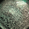 ホウ酸　尿素　塩化ナトリウム　ミョウバンの結晶