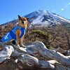 富士山さんぽとツチノコ展木彫りワークショップ