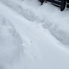 久しぶりに降った雪と、最近の日常など。