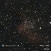 星見娘で電視観望5142(NGC7380・Sh2-142 Wizard Nebula in Cep)