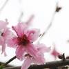 3月尽の外出自粛