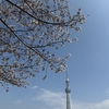 ソラマチランチ〜浅草散策、🌸隅田川クルーズにも。