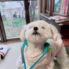 今日の予定！