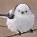 ～こころ豊かな愉快な生き方を求めて～