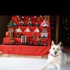 雛祭り