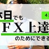 努力家なあなたに贈る『休日でもＦＸ上達のためにできること』４選