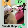 TreGattiy Marche vol.3 Shakti Shopさんの愛猫さん