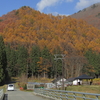 萩ノ倉山の植栽作業