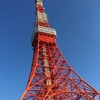 快晴の東京タワーと謎の軟式野球ボール