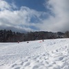 【長野・安曇野】雪遊びが楽しめる国営アルプスあづみの公園、冬の子連れおでかけにおすすめだよ！（長野県大町市）