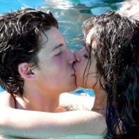 カミラカベロ ショーン メンデス