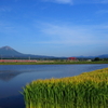 田植え前の伯備線