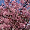 2021年2月の振り返り