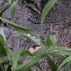 雨の休日