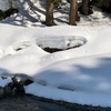 「花開くのは　あと一息」