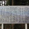   -富士の塔-